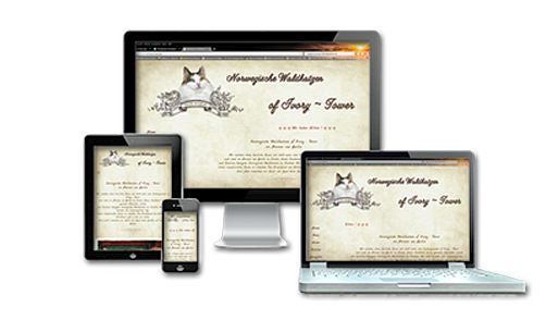 Co & Art responsive Webdesign Webdesign | Co & Art | responsive